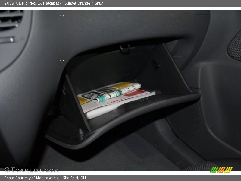 Sunset Orange / Gray 2009 Kia Rio Rio5 LX Hatchback