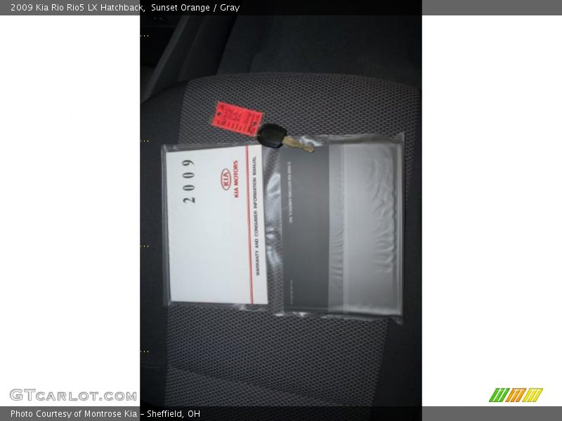 Sunset Orange / Gray 2009 Kia Rio Rio5 LX Hatchback