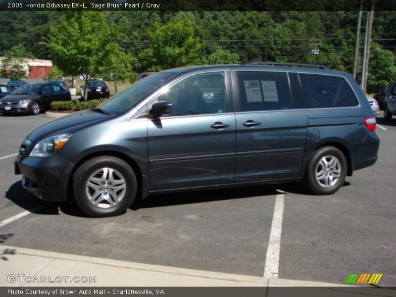 Sage Brush Pearl / Gray 2005 Honda Odyssey EX-L