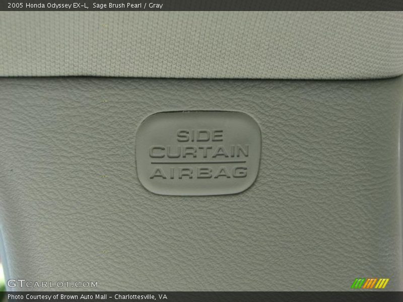 Sage Brush Pearl / Gray 2005 Honda Odyssey EX-L