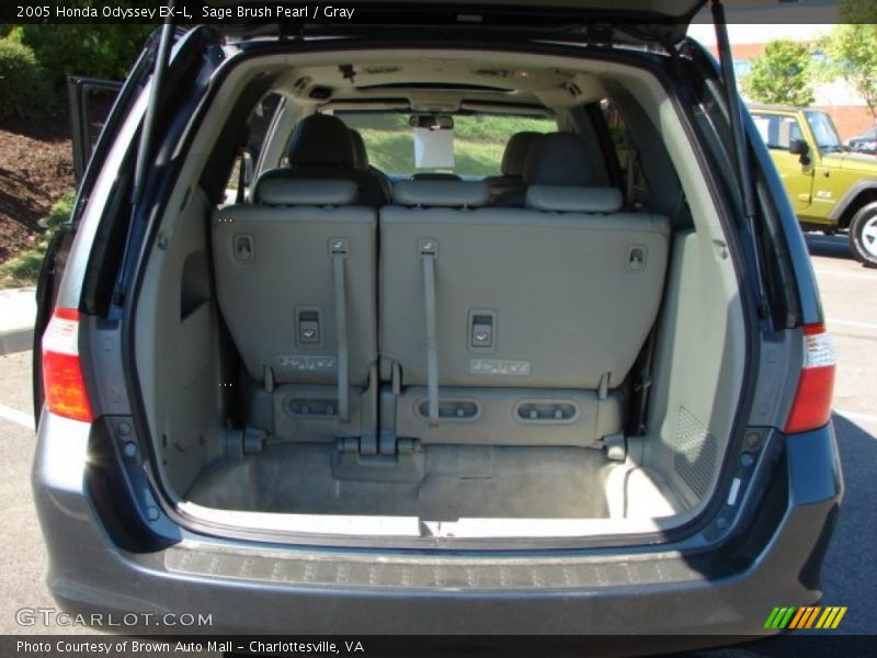 Sage Brush Pearl / Gray 2005 Honda Odyssey EX-L