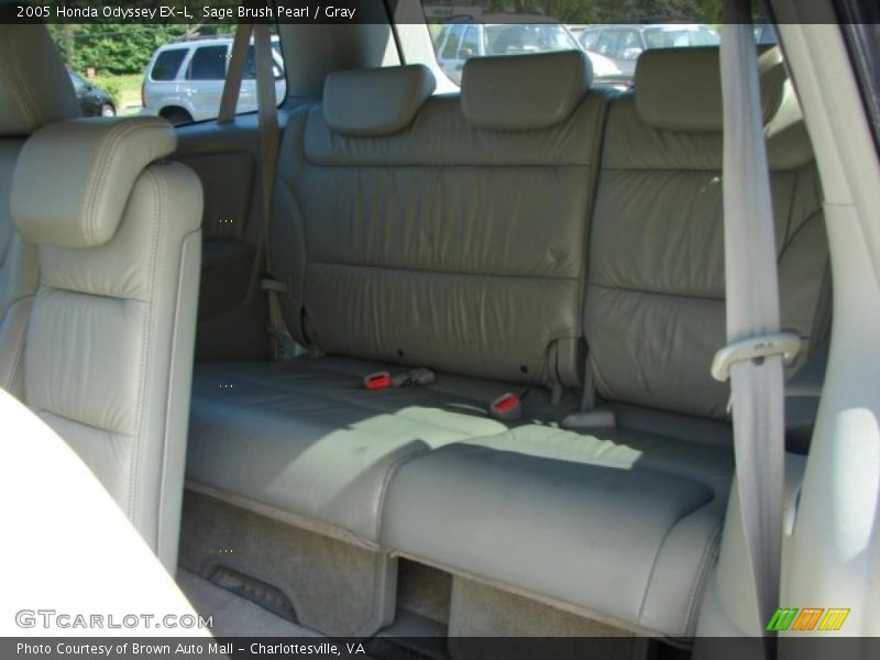 Sage Brush Pearl / Gray 2005 Honda Odyssey EX-L
