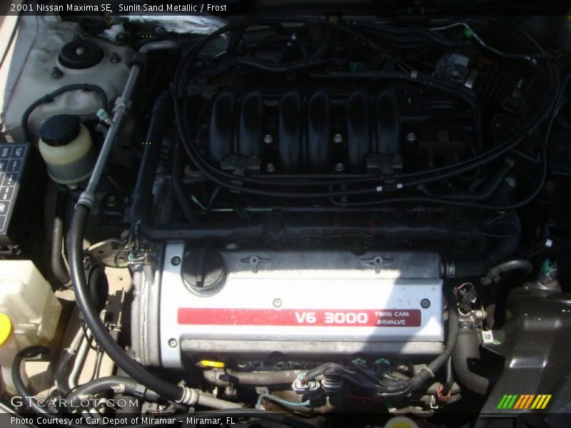 Sunlit Sand Metallic / Frost 2001 Nissan Maxima SE