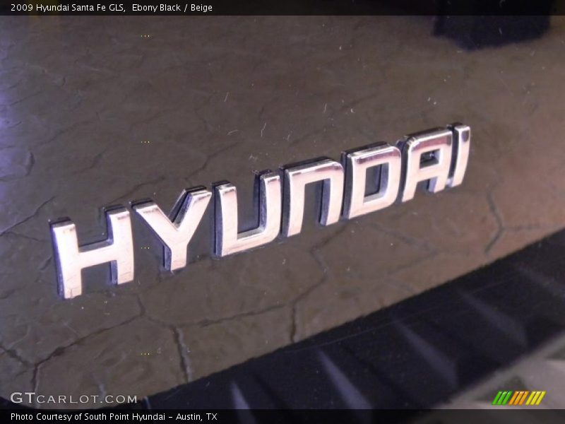Ebony Black / Beige 2009 Hyundai Santa Fe GLS