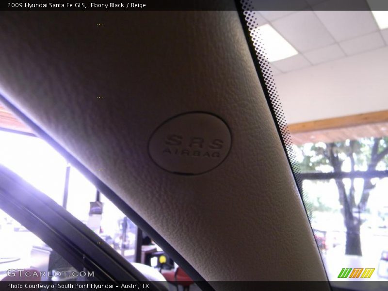 Ebony Black / Beige 2009 Hyundai Santa Fe GLS