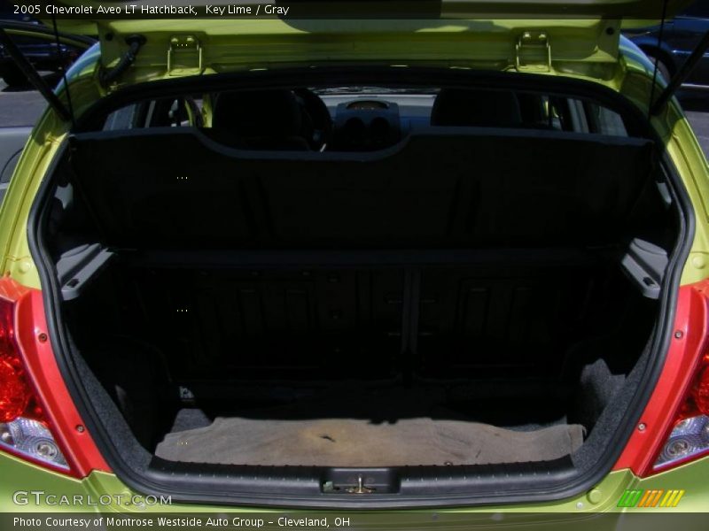 Key Lime / Gray 2005 Chevrolet Aveo LT Hatchback