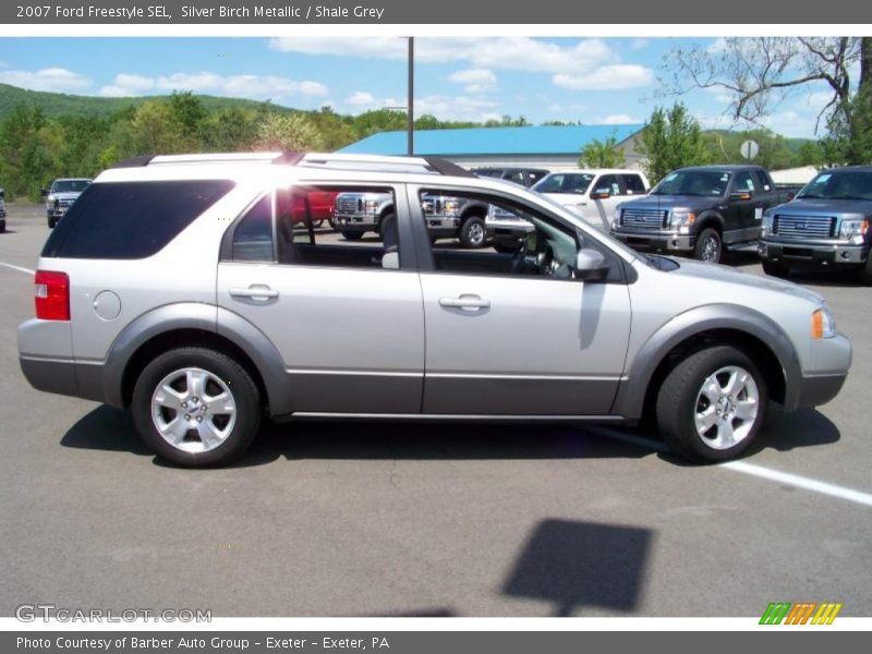 Silver Birch Metallic / Shale Grey 2007 Ford Freestyle SEL