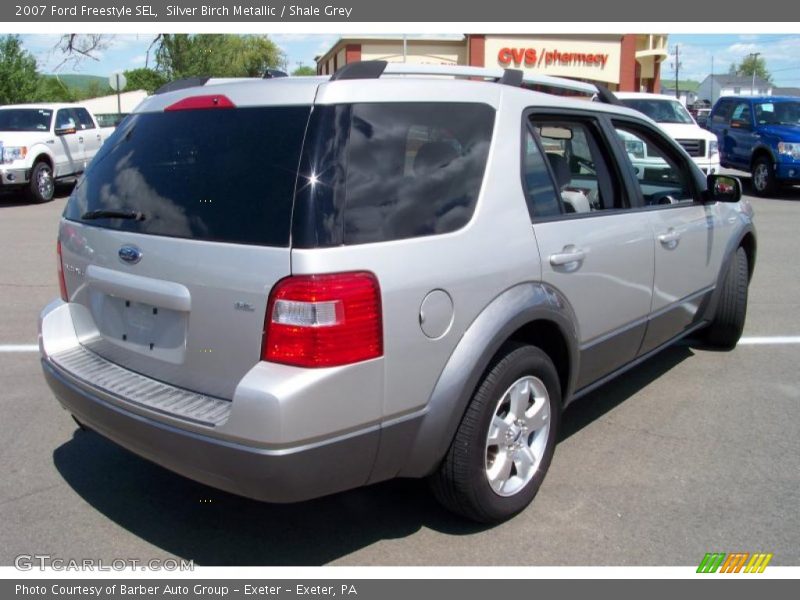 Silver Birch Metallic / Shale Grey 2007 Ford Freestyle SEL