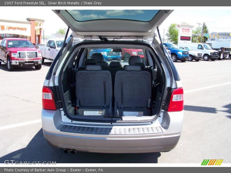 Silver Birch Metallic / Shale Grey 2007 Ford Freestyle SEL