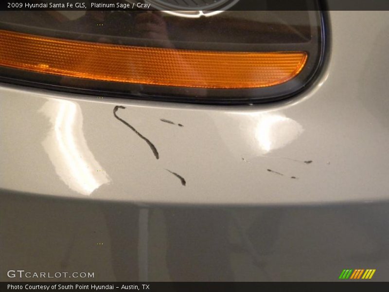 Platinum Sage / Gray 2009 Hyundai Santa Fe GLS
