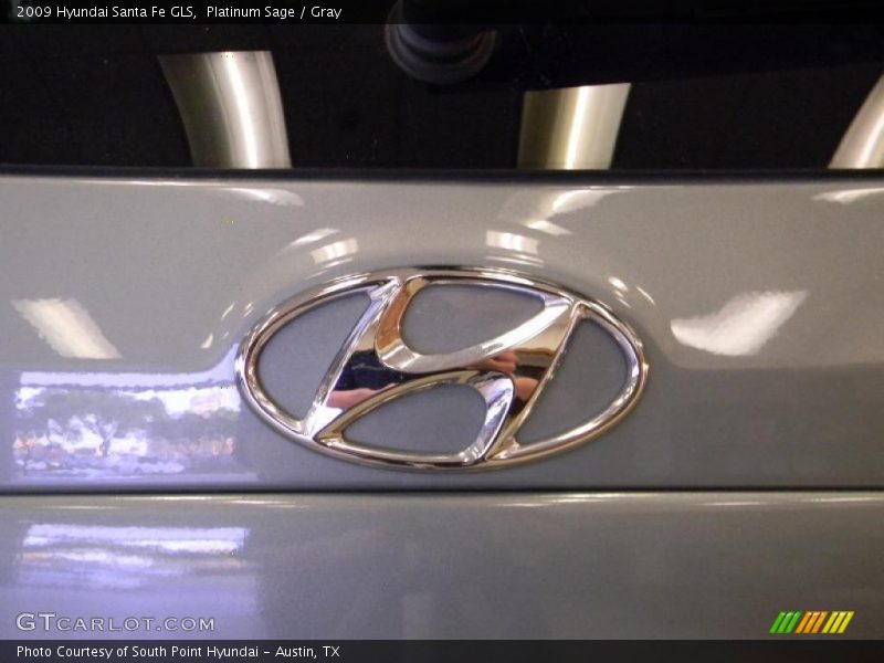 Platinum Sage / Gray 2009 Hyundai Santa Fe GLS