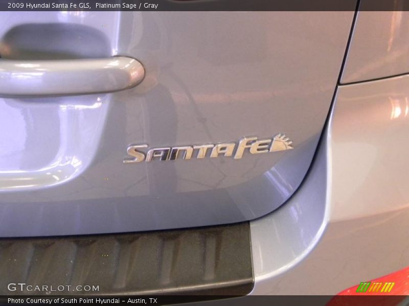Platinum Sage / Gray 2009 Hyundai Santa Fe GLS