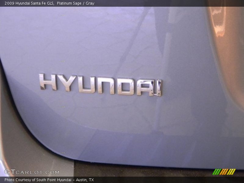 Platinum Sage / Gray 2009 Hyundai Santa Fe GLS
