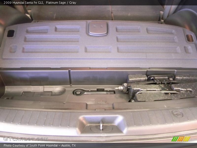 Platinum Sage / Gray 2009 Hyundai Santa Fe GLS