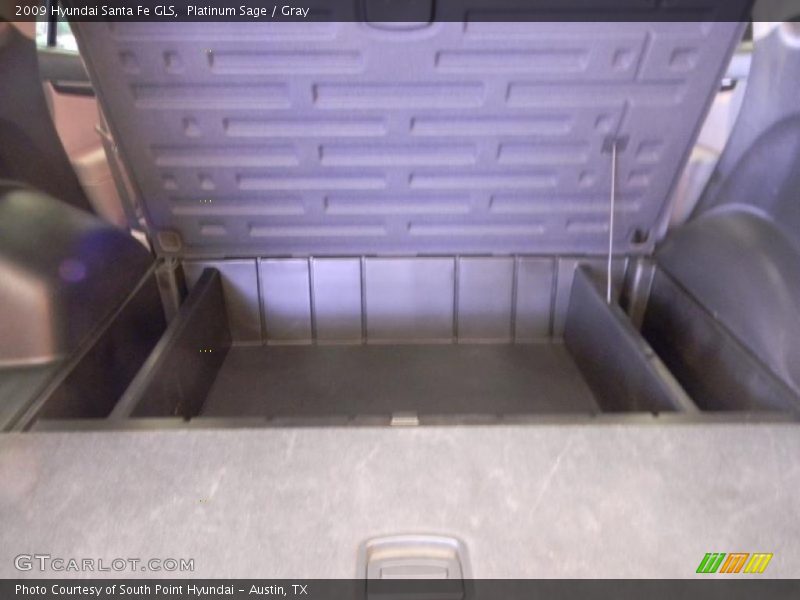 Platinum Sage / Gray 2009 Hyundai Santa Fe GLS