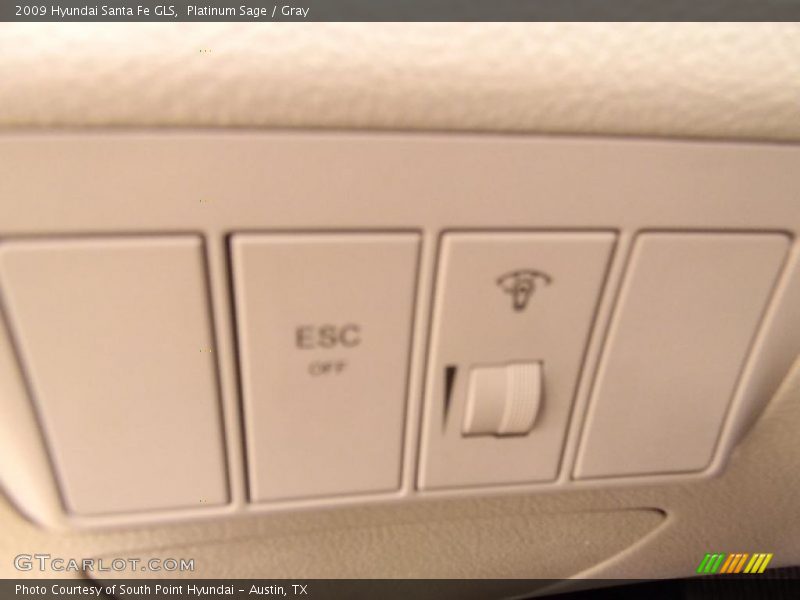 Platinum Sage / Gray 2009 Hyundai Santa Fe GLS