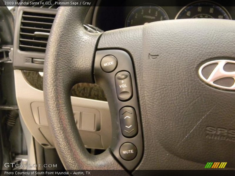 Platinum Sage / Gray 2009 Hyundai Santa Fe GLS