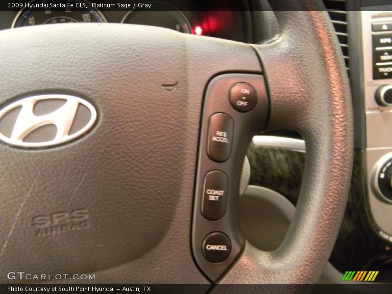 Platinum Sage / Gray 2009 Hyundai Santa Fe GLS