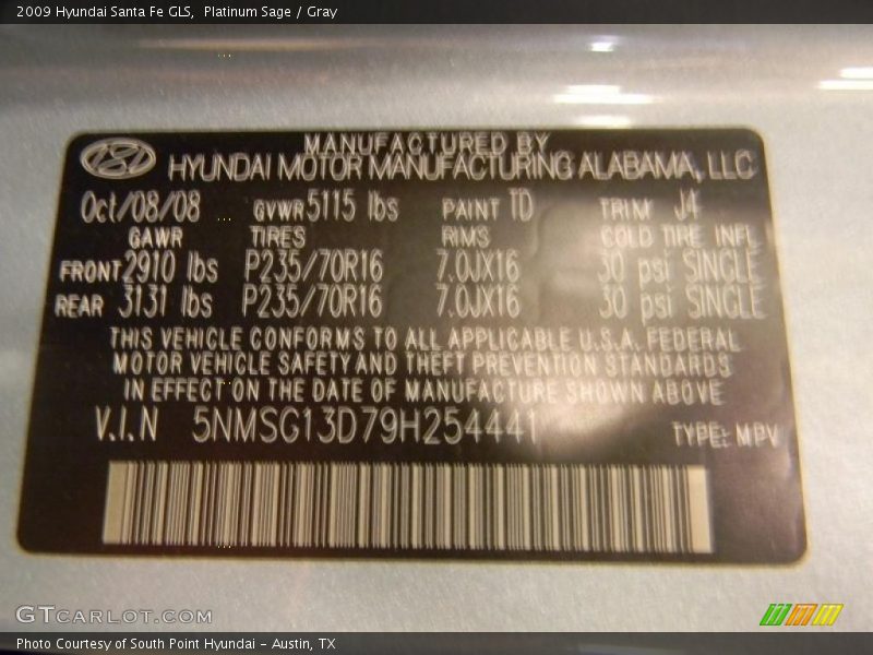 Platinum Sage / Gray 2009 Hyundai Santa Fe GLS