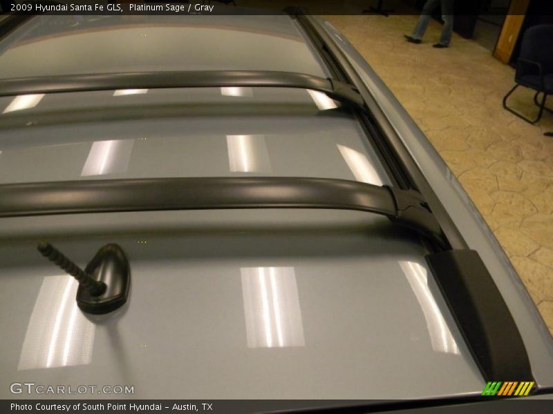 Platinum Sage / Gray 2009 Hyundai Santa Fe GLS