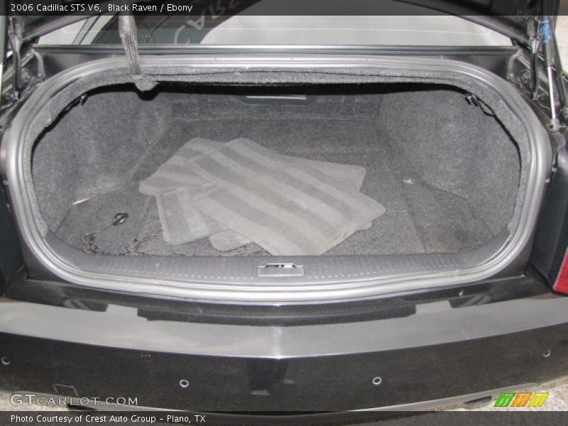 Black Raven / Ebony 2006 Cadillac STS V6