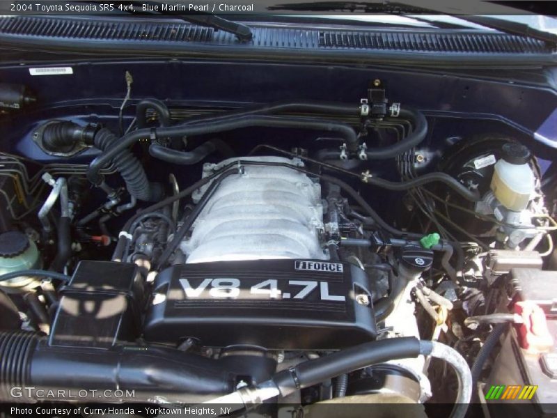 Blue Marlin Pearl / Charcoal 2004 Toyota Sequoia SR5 4x4