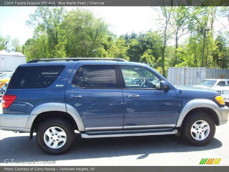 Blue Marlin Pearl / Charcoal 2004 Toyota Sequoia SR5 4x4