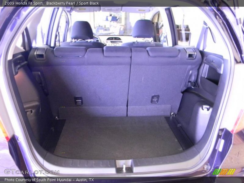 Blackberry Pearl / Sport Black 2009 Honda Fit Sport