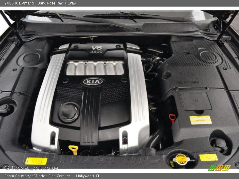 Dark Rose Red / Gray 2005 Kia Amanti