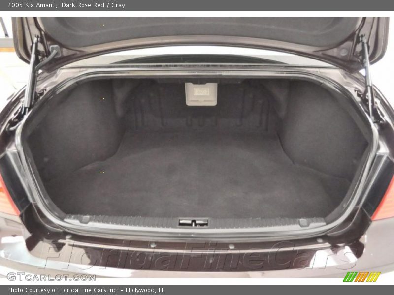 Dark Rose Red / Gray 2005 Kia Amanti