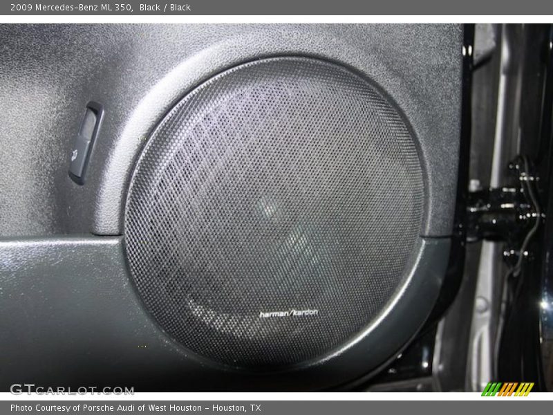 Black / Black 2009 Mercedes-Benz ML 350