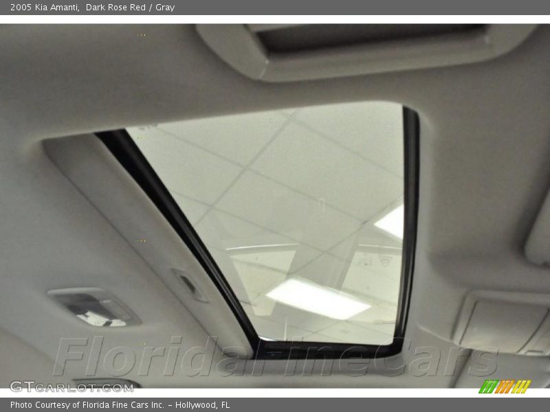 Dark Rose Red / Gray 2005 Kia Amanti
