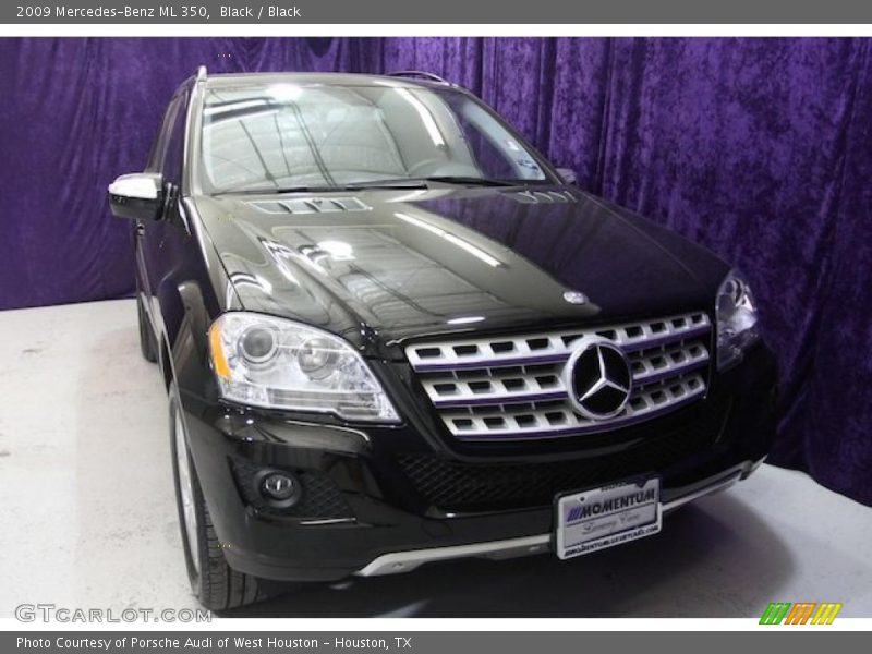 Black / Black 2009 Mercedes-Benz ML 350