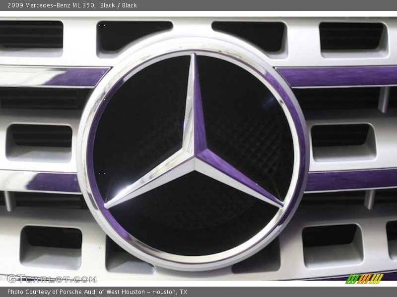Black / Black 2009 Mercedes-Benz ML 350
