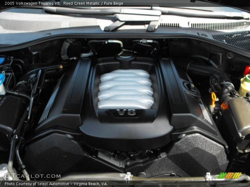 Reed Green Metallic / Pure Beige 2005 Volkswagen Touareg V8