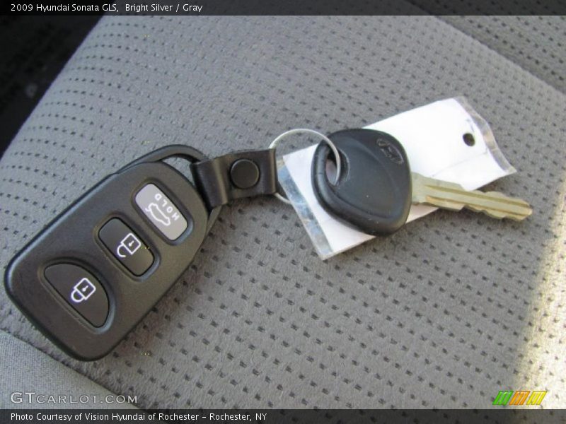 Bright Silver / Gray 2009 Hyundai Sonata GLS