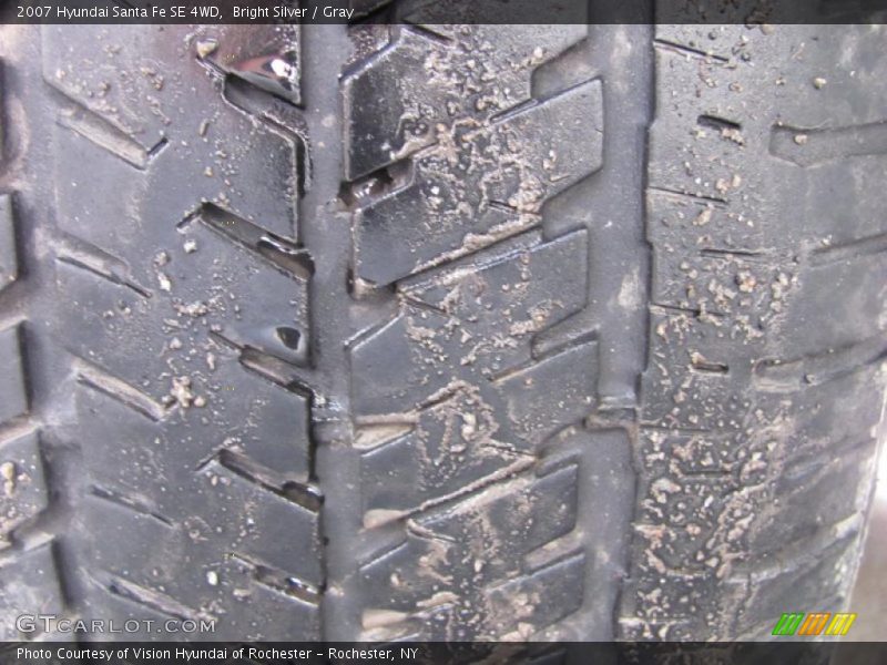 Bright Silver / Gray 2007 Hyundai Santa Fe SE 4WD