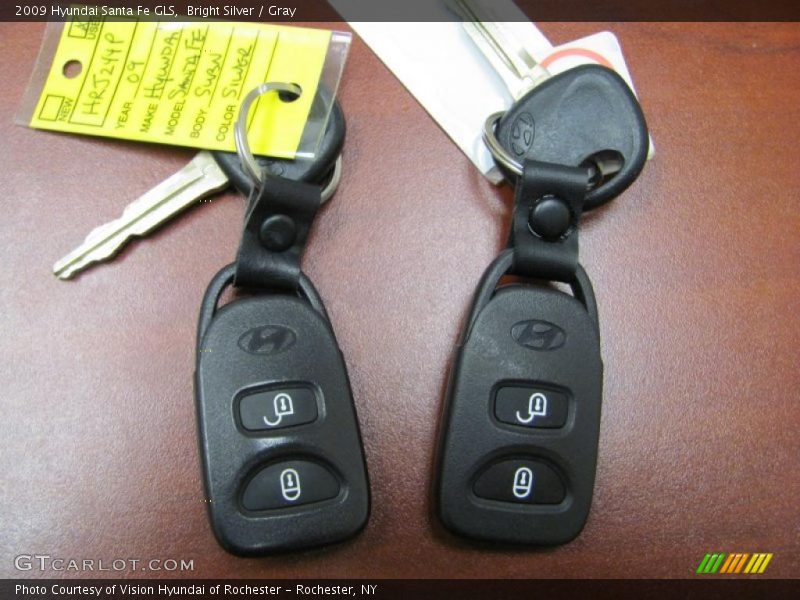 Bright Silver / Gray 2009 Hyundai Santa Fe GLS