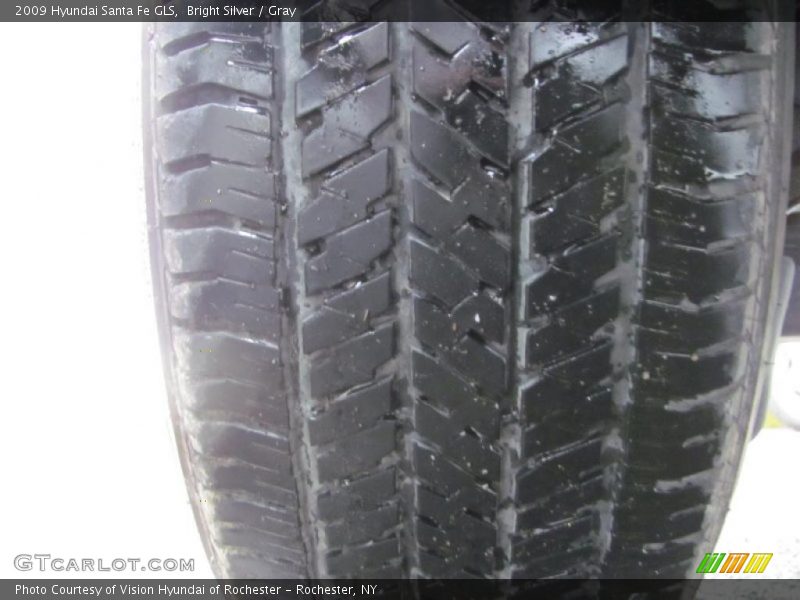 Bright Silver / Gray 2009 Hyundai Santa Fe GLS