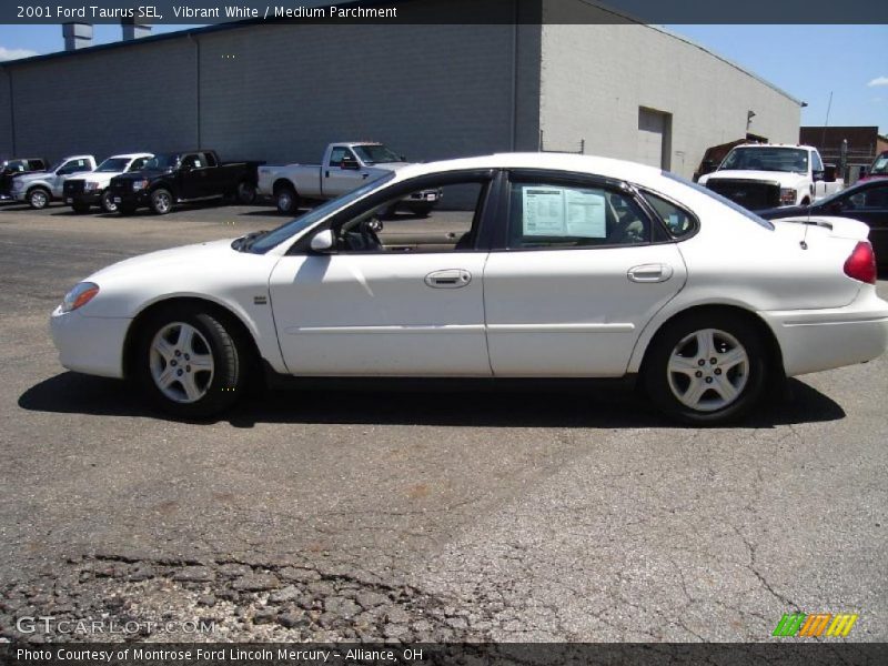 Vibrant White / Medium Parchment 2001 Ford Taurus SEL