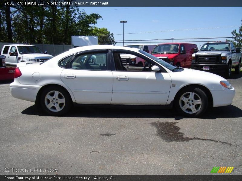 Vibrant White / Medium Parchment 2001 Ford Taurus SEL