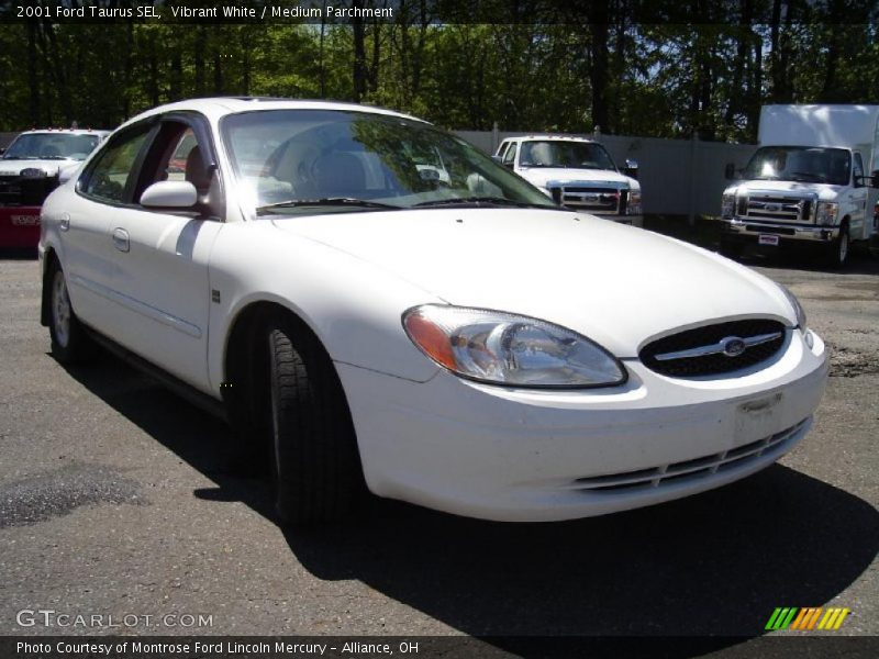 Vibrant White / Medium Parchment 2001 Ford Taurus SEL