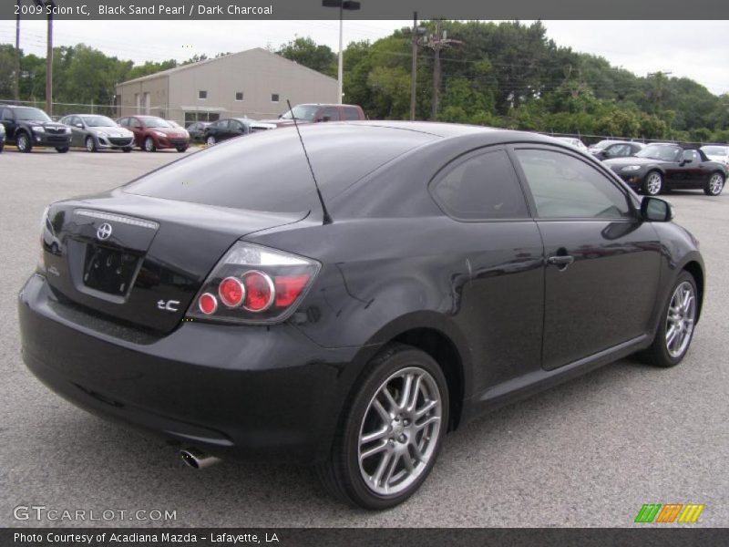 Black Sand Pearl / Dark Charcoal 2009 Scion tC