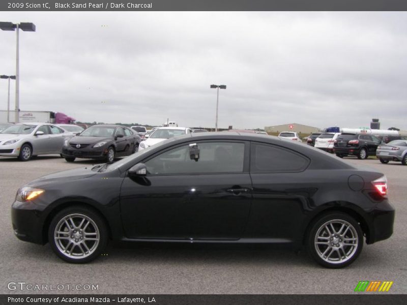 Black Sand Pearl / Dark Charcoal 2009 Scion tC