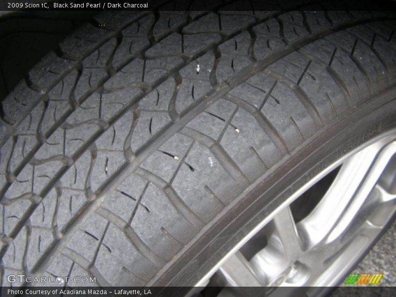 Black Sand Pearl / Dark Charcoal 2009 Scion tC
