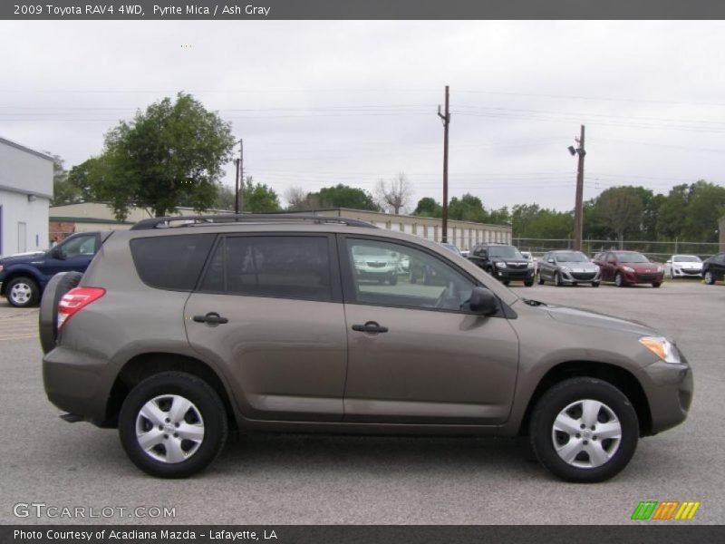 Pyrite Mica / Ash Gray 2009 Toyota RAV4 4WD