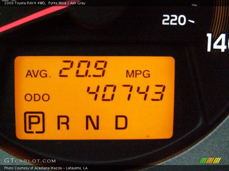 Pyrite Mica / Ash Gray 2009 Toyota RAV4 4WD