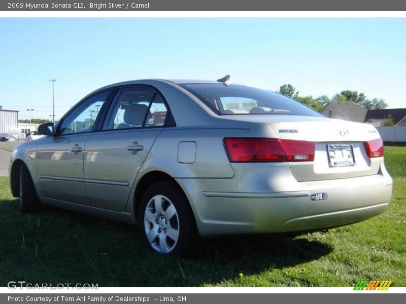 Bright Silver / Camel 2009 Hyundai Sonata GLS