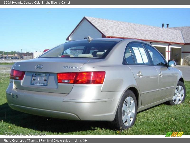 Bright Silver / Camel 2009 Hyundai Sonata GLS