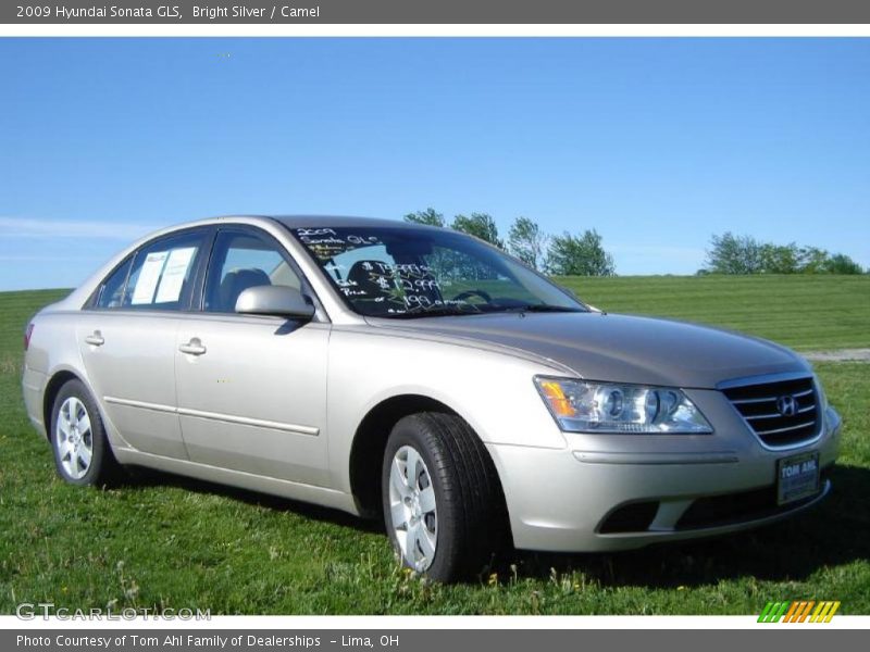 Bright Silver / Camel 2009 Hyundai Sonata GLS